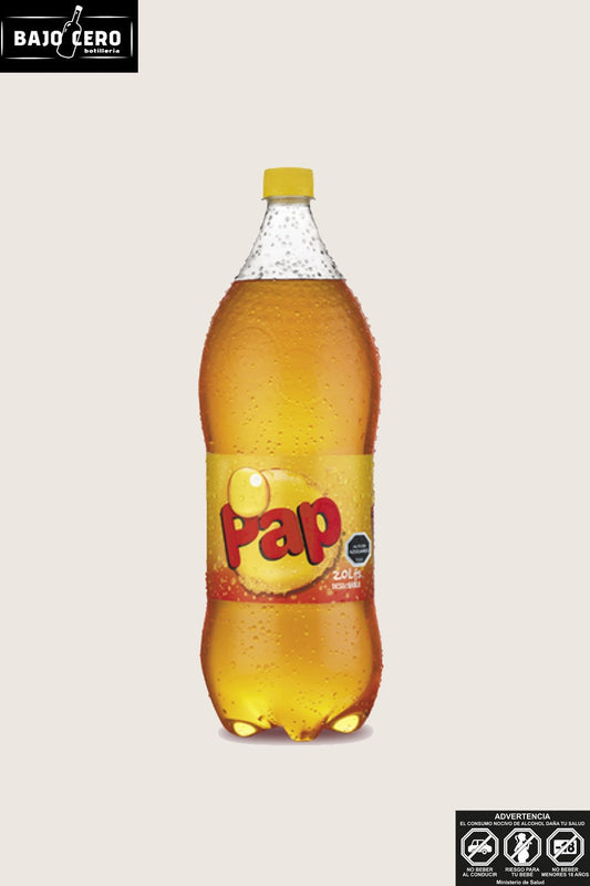BEBIDA PAP 2 LT DESECHABLE